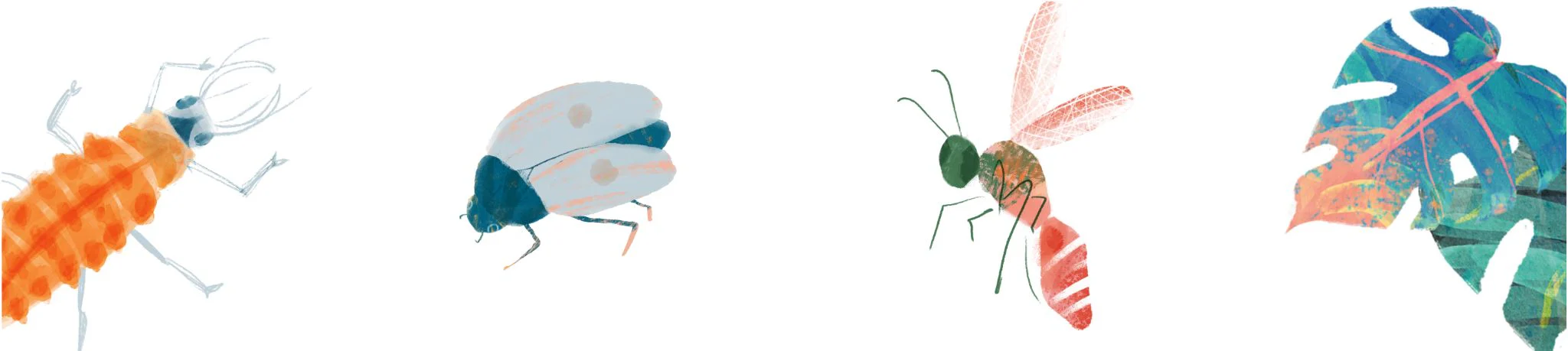 Welcome to Our Store